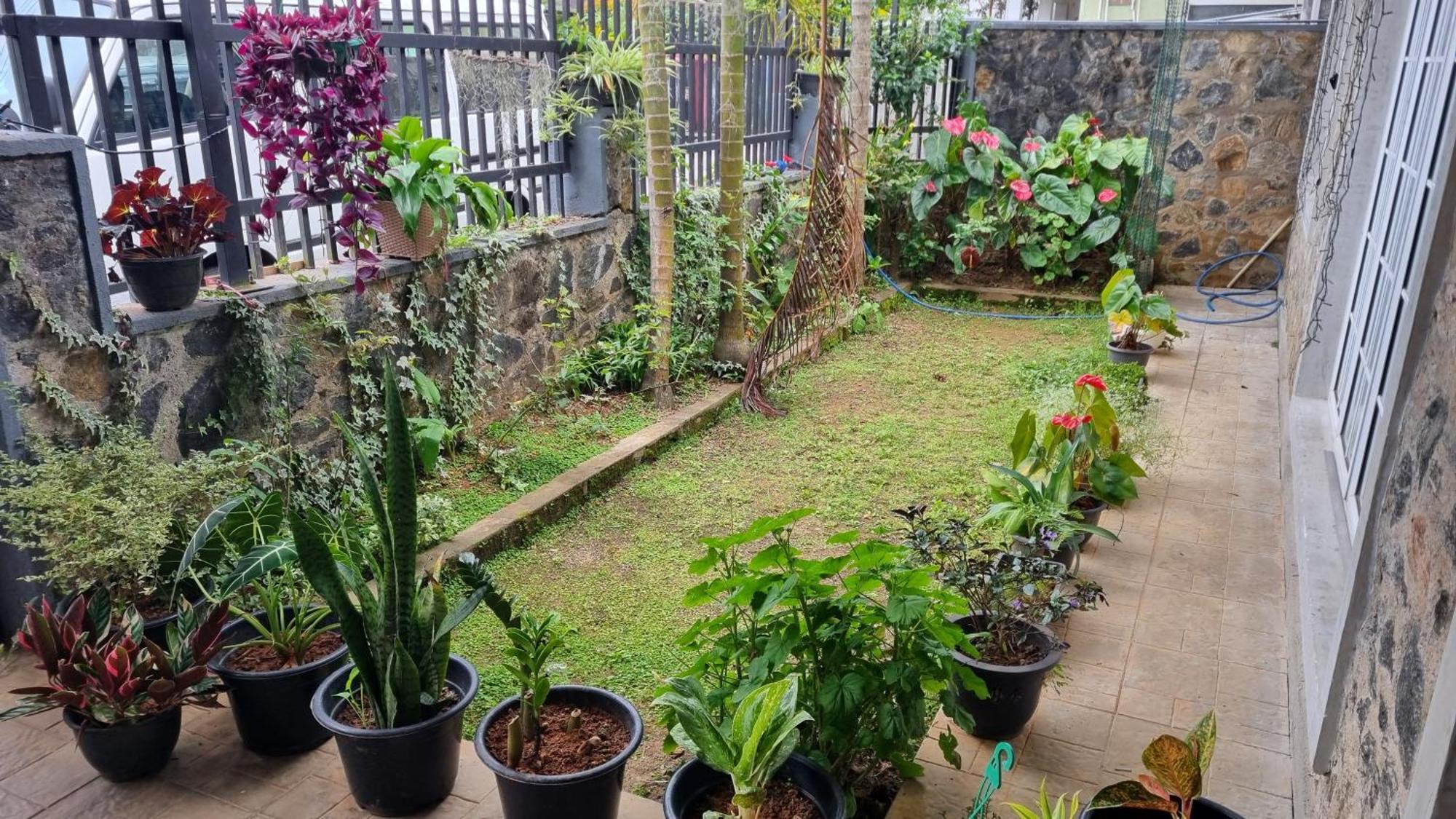هاتون Tailors Cottage المظهر الخارجي الصورة