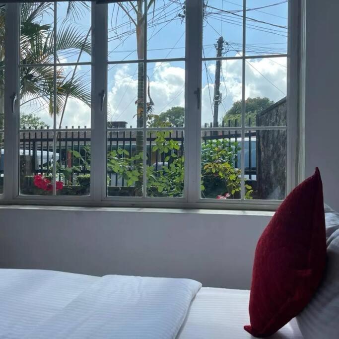 هاتون Tailors Cottage المظهر الخارجي الصورة